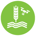 Soil & Crop Sciences